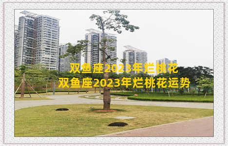 双鱼座2023年烂桃花 双鱼座2023年烂桃花运势